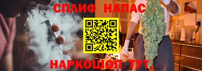 сатива Краснознаменск