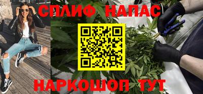 сатива Краснознаменск