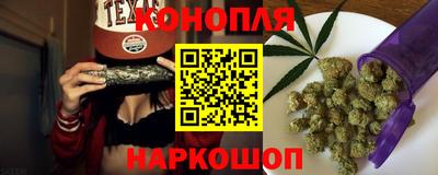 сатива Краснознаменск
